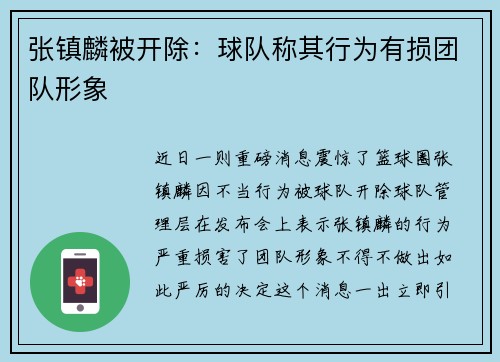 张镇麟被开除：球队称其行为有损团队形象