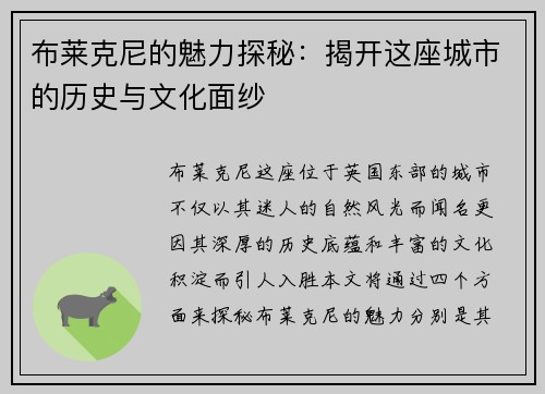 布莱克尼的魅力探秘：揭开这座城市的历史与文化面纱