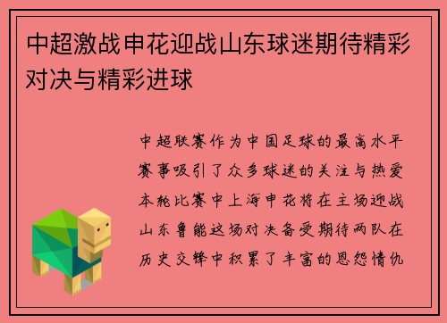 中超激战申花迎战山东球迷期待精彩对决与精彩进球
