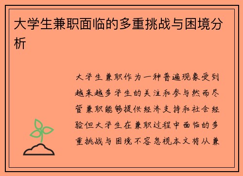 大学生兼职面临的多重挑战与困境分析