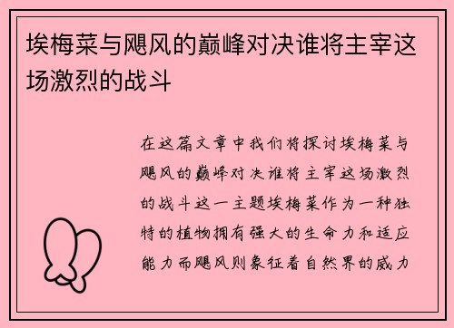 埃梅菜与飓风的巅峰对决谁将主宰这场激烈的战斗
